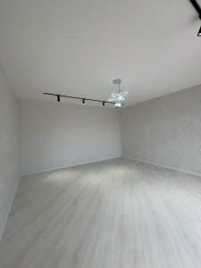 image 374831