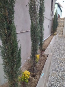 image 374856