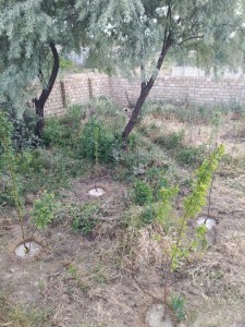 image 374856