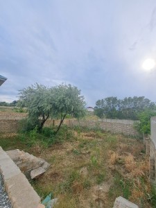 image 374856
