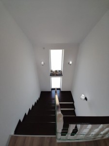 image 374870