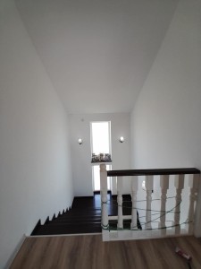 image 374870