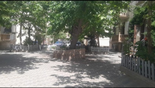 image 374871