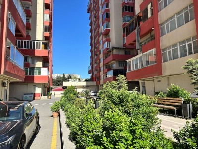 image 374887