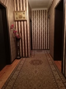 image 375088