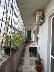image 375217