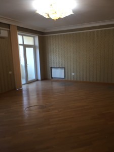 image 375221