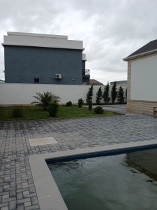 image 375231