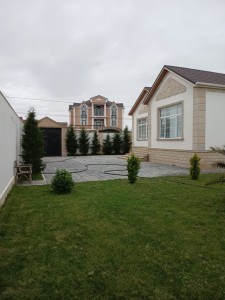 image 375231