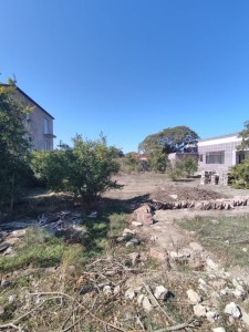 image 375234