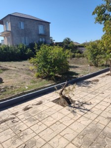 image 375234