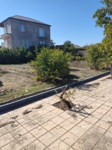 image 375234