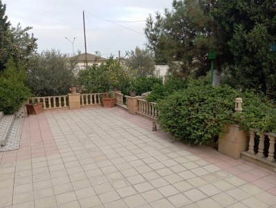 image 375237