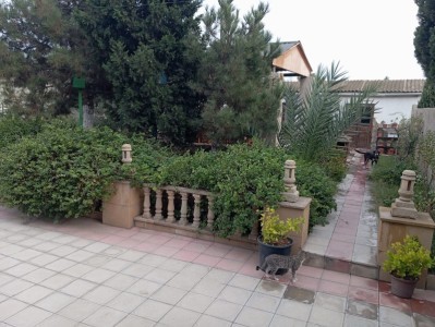 image 375237