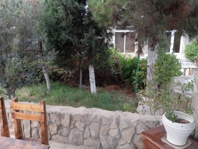 image 375237