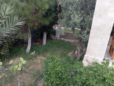 image 375237