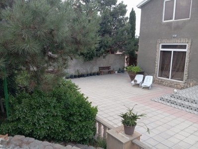 image 375237