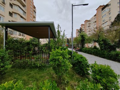 image 375244