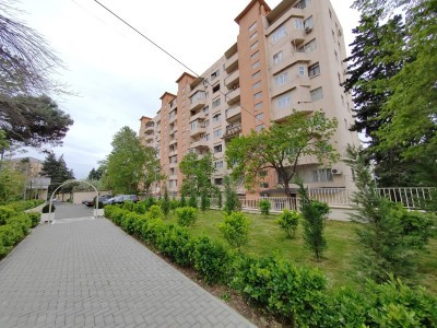 image 375244