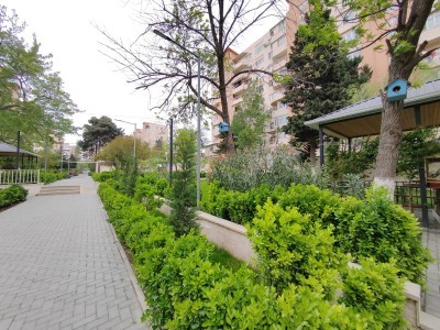 image 375244