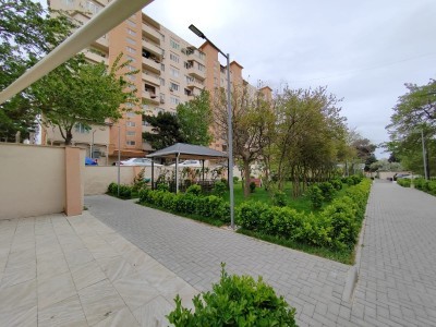 image 375244