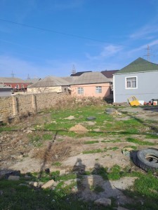 image 375245