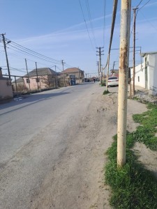 image 375245