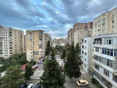 image 375246