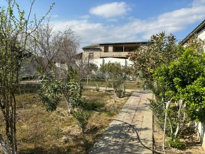 image 375249