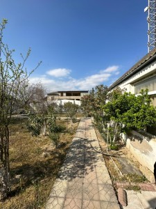 image 375249
