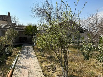 image 375249