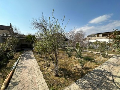 image 375249