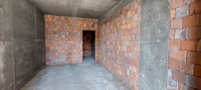 image 375250