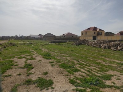 image 375251