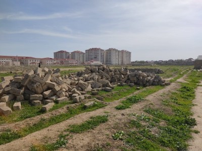 image 375251
