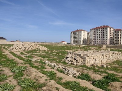 image 375251