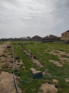 image 375251