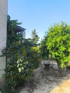 image 375252