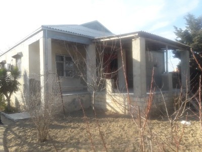 image 375252