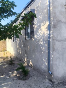 image 375252