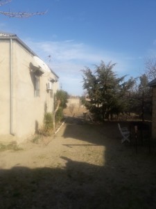 image 375252