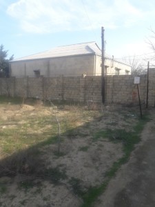image 375252