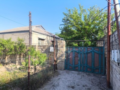 image 375252