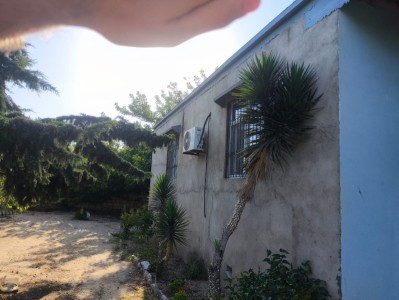image 375252