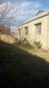 image 375252