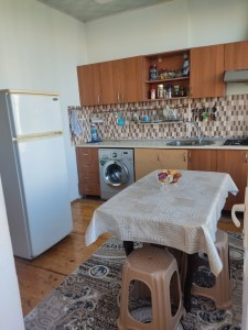 image 375253