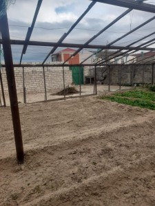 image 375255