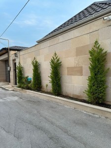 image 375258