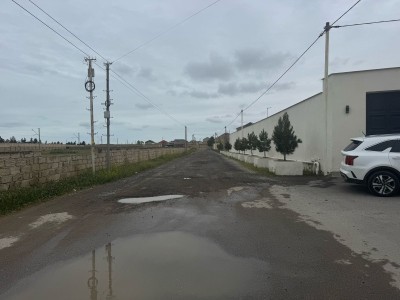 image 375265
