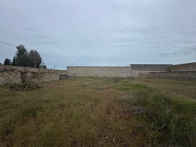 image 375265